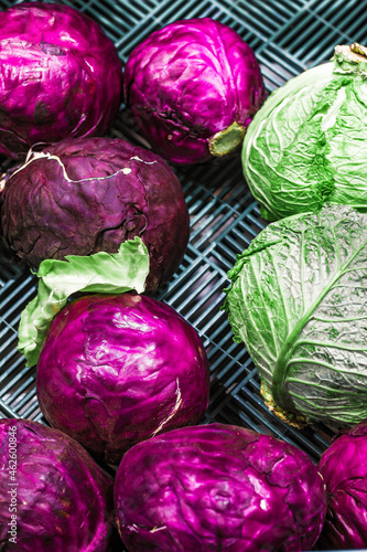 two different varieties of cabbage - green and purple on the grocery store counter in a drawer; top view