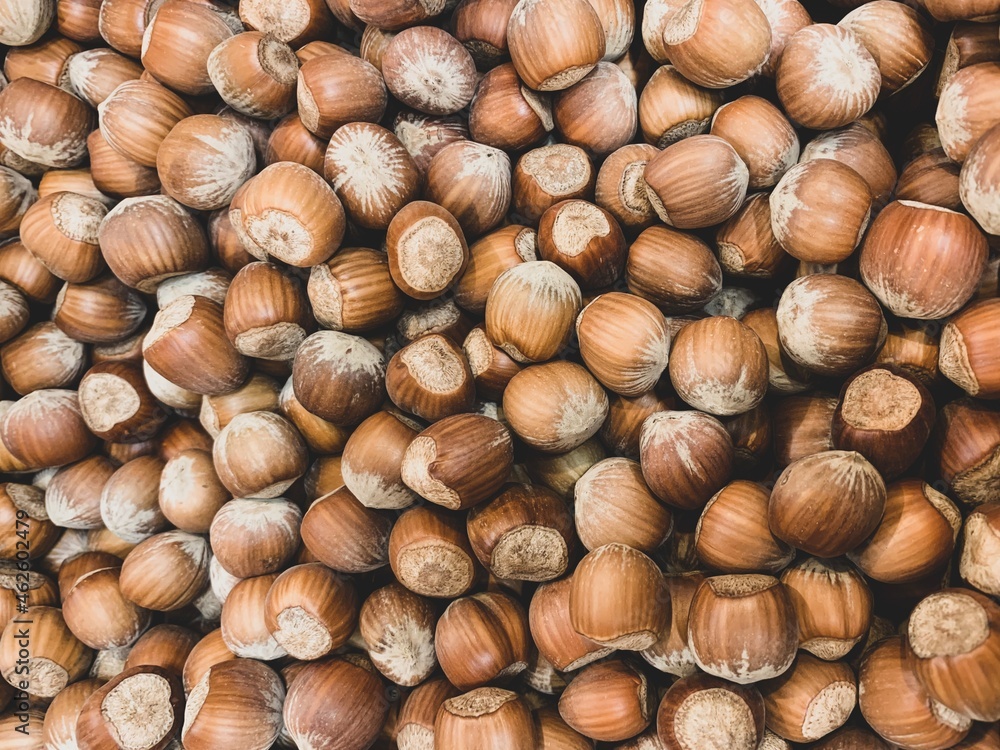 Full frame picture of fresh organic hazelnuts. Food background Full frame picture of fresh organic hazelnuts. Food background