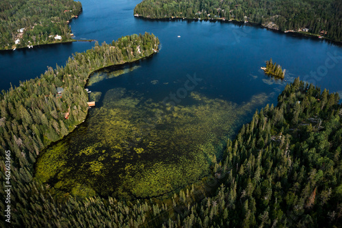 A calm bay filling with algae in the Canadian whiteshell. photo