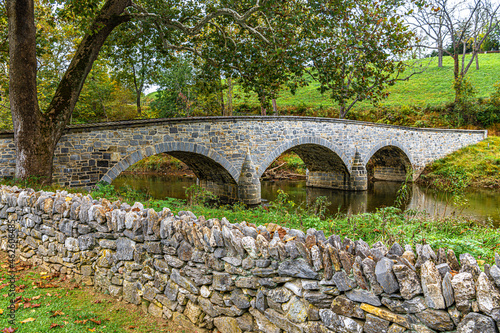 Burnside bridge over Antietam with sycamore tree