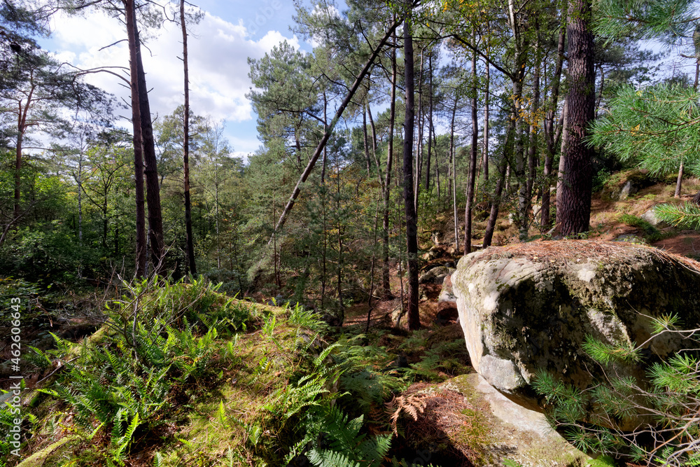 Recloses, path of the crests in fontainebleau forest Recloses, path of the crests in fontainebleau forest