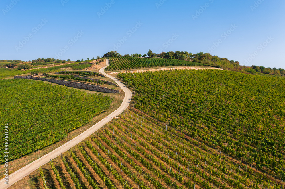 Panoramic view about Tokaj historic wine region in Hungary with winery and vineyard. Tokaj historic wine region.