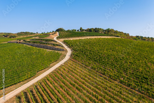 Panoramic view about Tokaj historic wine region in Hungary with winery and vineyard. Tokaj historic wine region. © János Illési