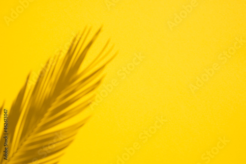 Trending concept in natural materials with palm shadow on yellow background. Presentation with daylight. Natural blurred shade. Summer sunlight from herb. Beautiful backdrop for text or advertising.