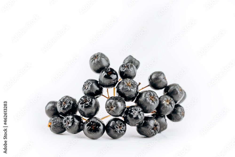 aronia is isolated on a white background aronia is isolated on a white background