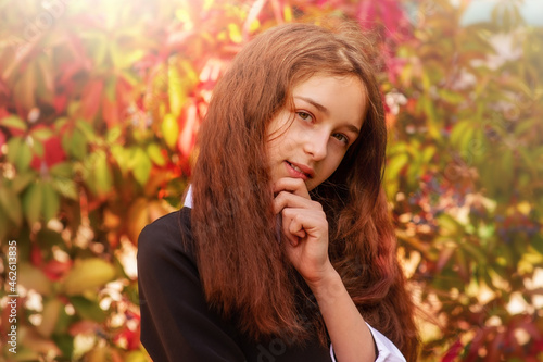Portrait of a girl 11 years old with long hair in the fall on a background of red leaves. Schoolgirl