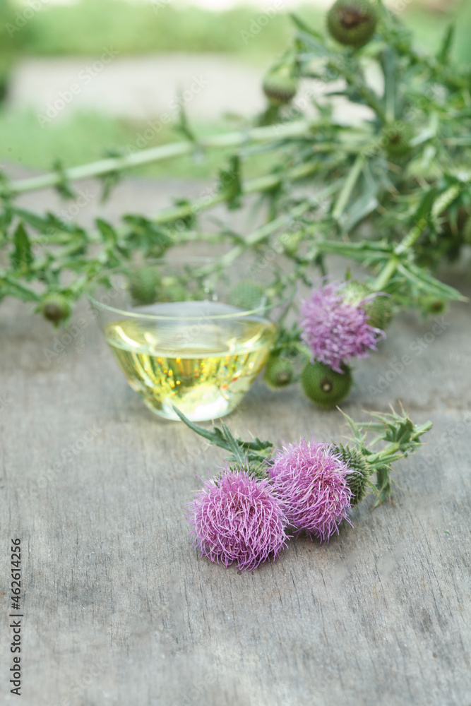 thistle oil container with thistle flowers on wooden background thistle oil container with thistle flowers on wooden background