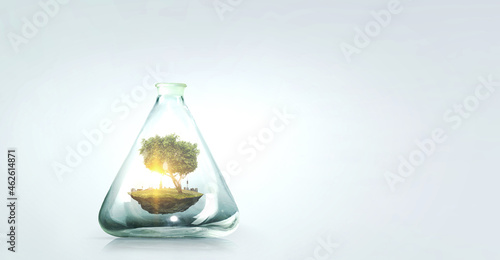 Tree growing inside clear glass bottle . Mixed media
