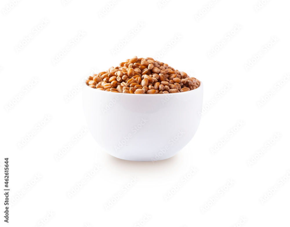 Bowl with wheat isolated on white background. Close-up. Grain wheat on white background. Whole grain wheat. Image with copy space. Bowl with wheat isolated on white background. Close-up. Grain wheat on white background. Whole grain wheat. Image with copy space.