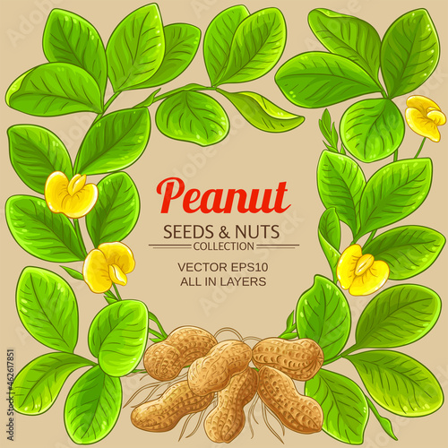 peanut vector frame on color background