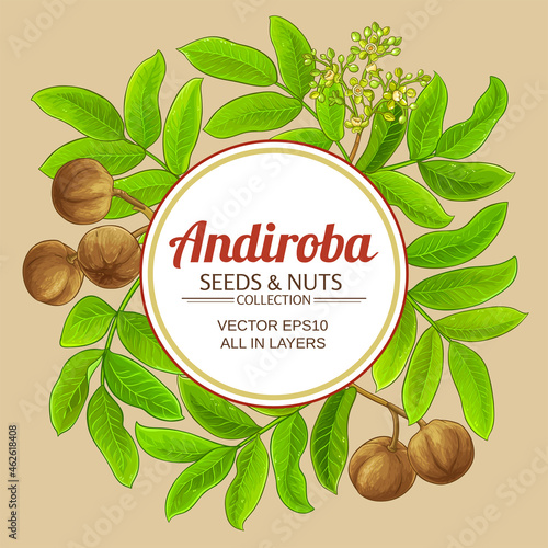 andiroba vector frame on color background photo