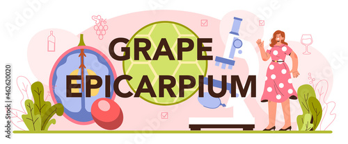 Grape epicarpium typographic header. Wine production. Grape wine