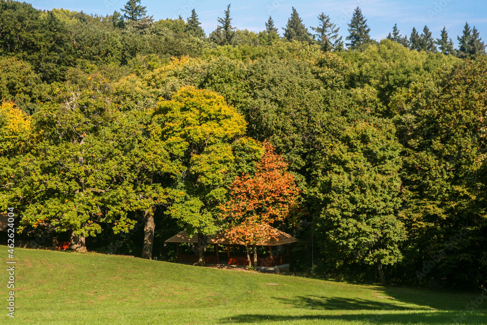 Naklejka premium A landscape of a park next to the Smolenice Castle. A famous, one of the most touristic visited place on Slovakia.