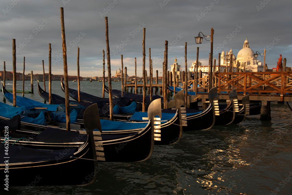 A row of Gondolas in the morning
