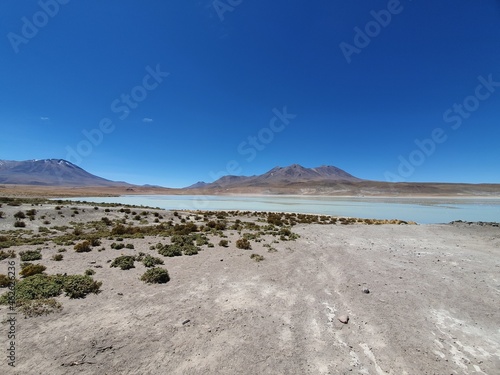Trip to Atacama
