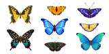 Realistic tropical butterflies. Beautiful insects with bright colorful wings . Vector illustration   