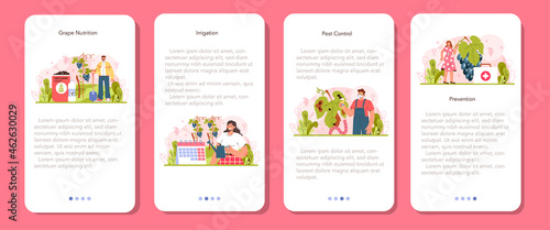 Wine production mobile application banner set. Grape tree selection