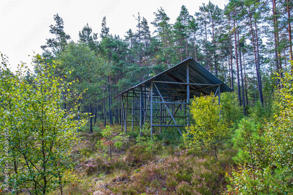 Old peat barn in a forest