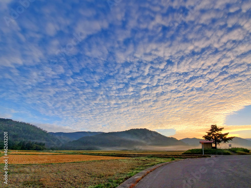 Photos うろこ雲と田園