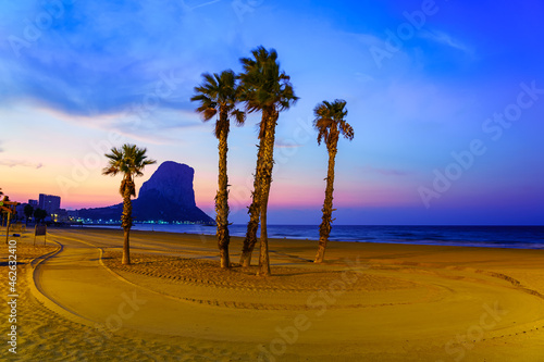 Palm tree on the beach at sunset next to the rock of Calpe Alicante. © josemiguelsangar