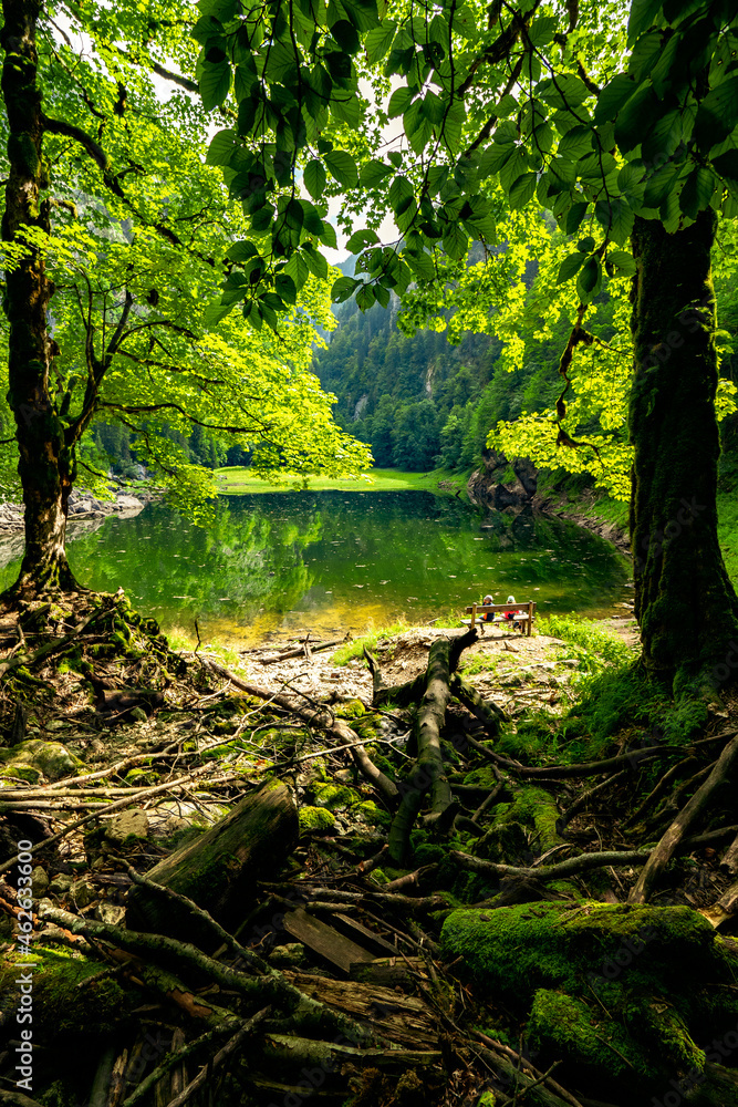 Two kids sitting at the lakeshore of the legendary Lake Kammersee, Ausseer Land, Styria, Austria, which is enclosed by mountains and a primeval forest