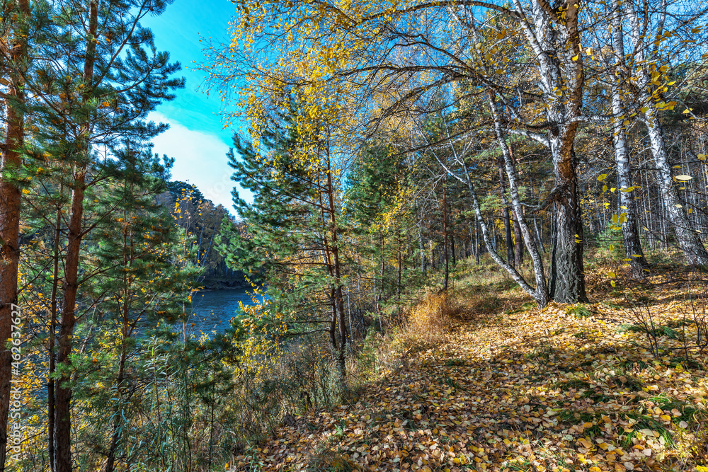 Fototapeta premium Autumn landscape. Siberia