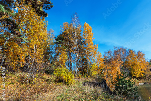 Autumn landscape. Siberia