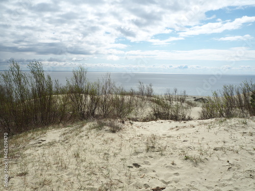 Sand dunes of the Curonian Spit 
