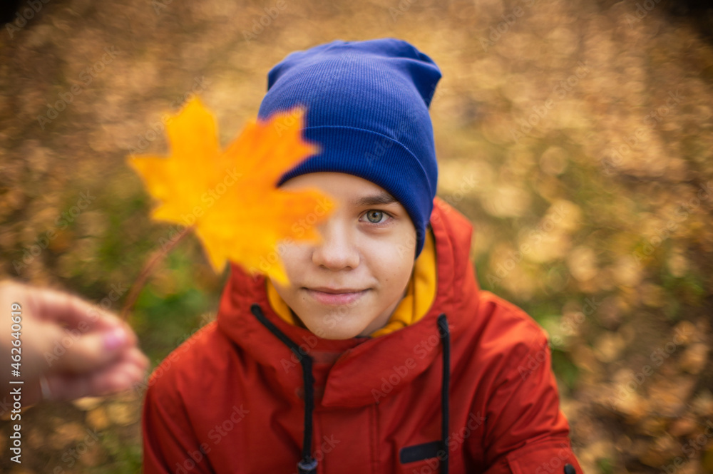 Autumn portrait of boy teen with maple leaves on fall nature background. Shallow depth of field Autumn portrait of boy teen with maple leaves on fall nature background. Shallow depth of field