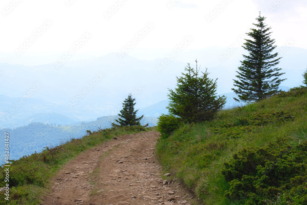 Scenic mountain road with amazing panoramic view of national park Kopaonik - famous ski resort in Serbia Scenic mountain road with amazing panoramic view of national park Kopaonik - famous ski resort in Serbia