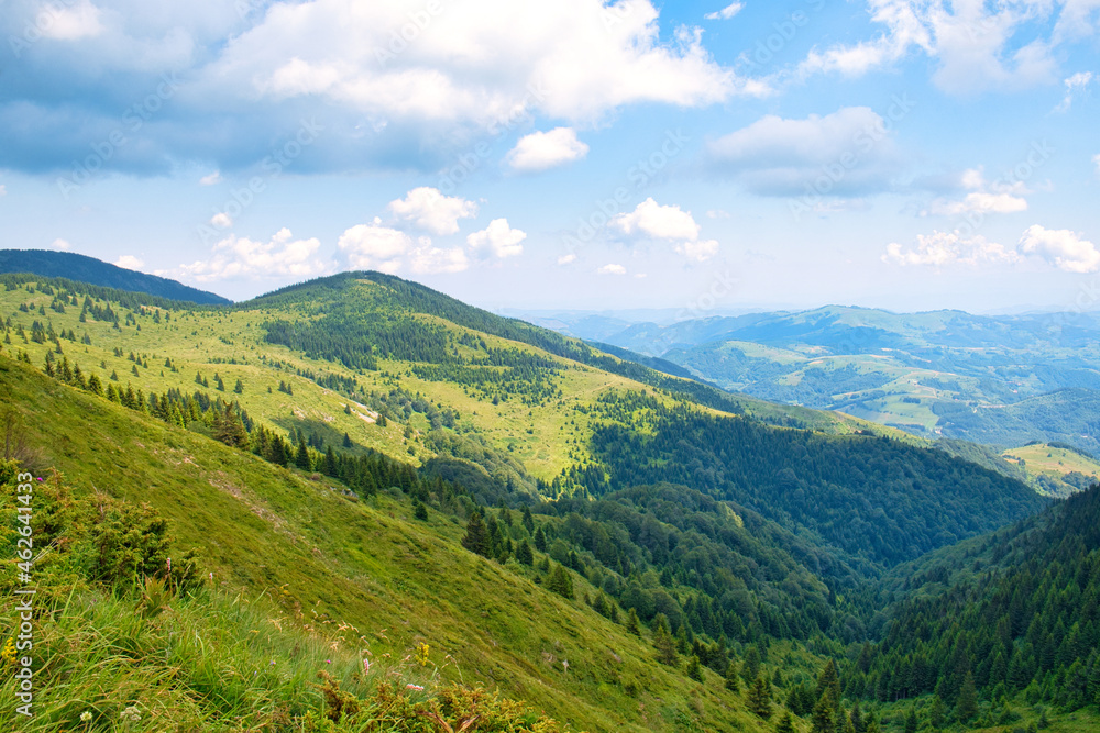 Amazing nature view of National park Kopaonik - the most famous ski center of Serbia - on a sunny morning