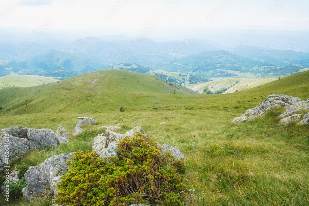 Naklejka premium Amazing nature view of National park Kopaonik - the most famous ski center of Serbia - on a sunny morning