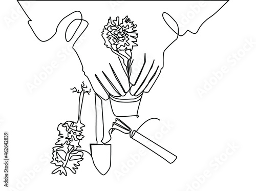 A person planting a flower in a pot. An adult who grows flowers as a hobby. the person and their hands changing the soil and pot of the flower for the hobby garden at home.