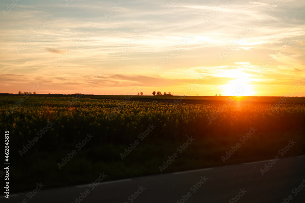 Zachodzące słońce nad polem rzepaku gdzieś w Polsce