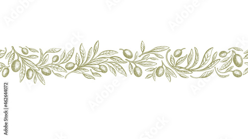 Olive border, rustic seamless pattern. Vector band