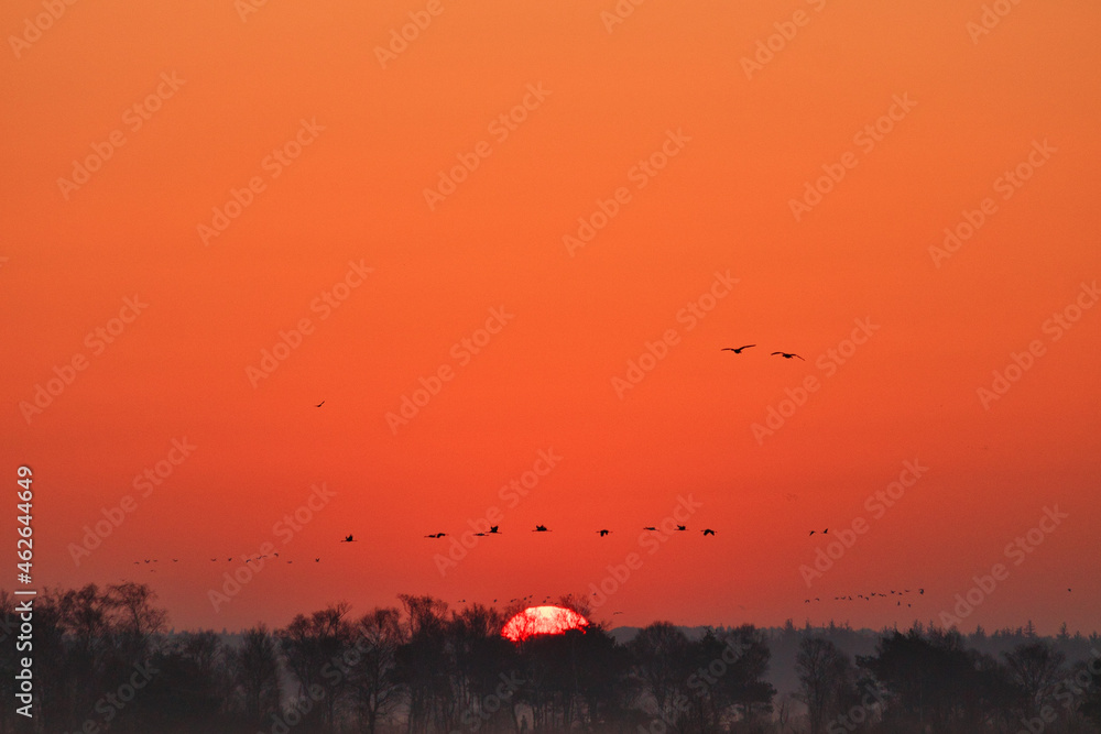 Sonnenaufgang im Moor