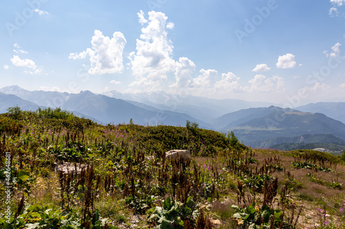 A panoramic view on high Caucasus mountains in Georgia. There are high, snowcapped peaks in the back. Lush pasture in front. Idyllic landscape. Calmness and meditation. Natural remedy photo