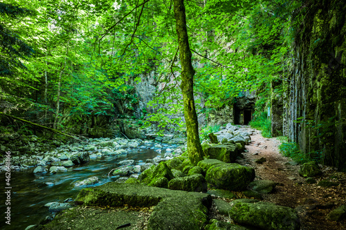 Wanderweg an der Buchberger Leite im Bayersichen Wald