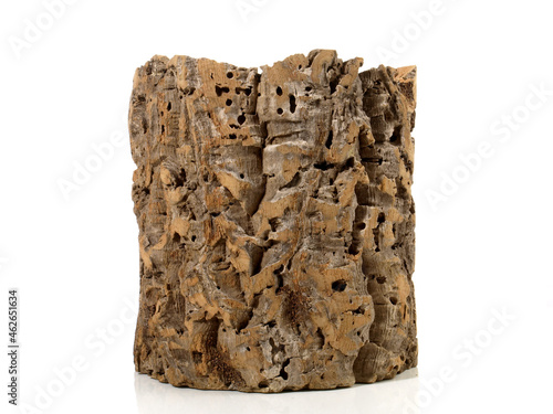 Cork Tree Trunk Bark as a Flower Pot isoladet on white background photo