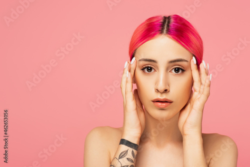 focused and tattooed young woman with colorful hair looking at camera isolated on pink