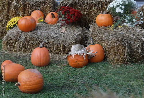 Exposure to pumpkins, chrysanthemums and hay bales on a green meadow