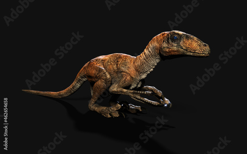 3d Illustration pose of deinonychus antirrhopus the most iconic and representative dinosaurs on dark background with clipping path. dinosaurs concept.