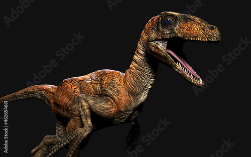 3d Illustration pose of deinonychus antirrhopus the most iconic and representative dinosaurs on dark background with clipping path. dinosaurs concept. © mrjo_7