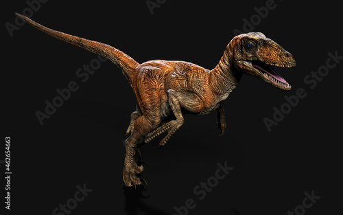 3d Illustration pose of deinonychus antirrhopus the most iconic and representative dinosaurs on dark background with clipping path. dinosaurs concept.