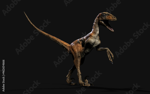 3d Illustration pose of deinonychus antirrhopus the most iconic and representative dinosaurs on dark background with clipping path. dinosaurs concept. © mrjo_7