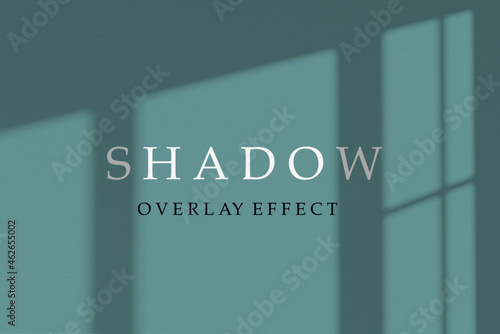 Shadow overlay effect. Transparent soft light and shadows. Mockup of transparent window shadow overlay effect and natural lightning. Vector mock up gradient mesh