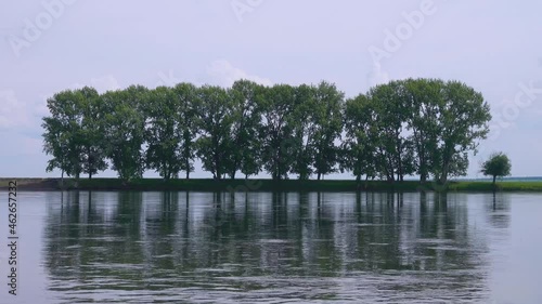 A beautiful poplar grove on the bank of the river. View from the water photo