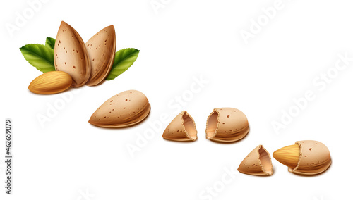 3d realistic vector background. Almond nuts in different stages. Almond shell, broken shell, nut. Isolated on white background.
