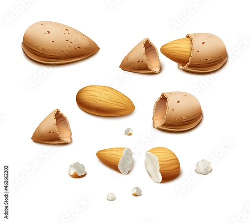 3d realistic vector background. Almond nut shell and broken nuts. Isolated on white background.