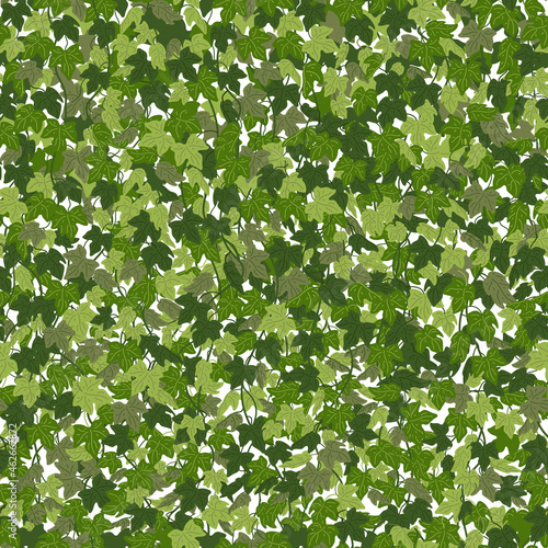 Ivy background, green creeper vines curtain. Vector illustration in flat cart...